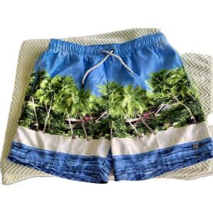 Islandhaze swim trunks mens XXL blue water white sand blue sky green palm print